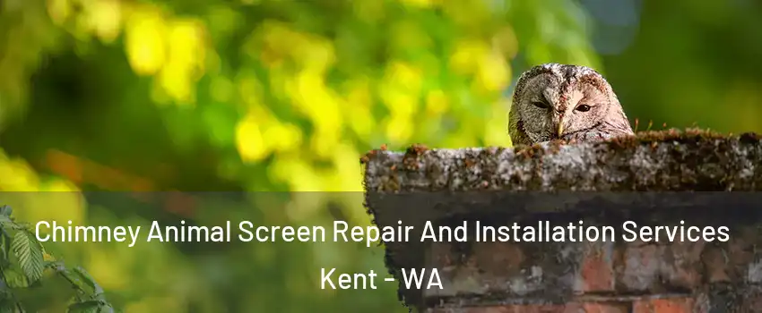  Chimney Animal Screen Repair And Installation Services Kent - WA