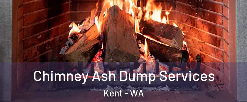  Chimney Ash Dump Services Kent - WA