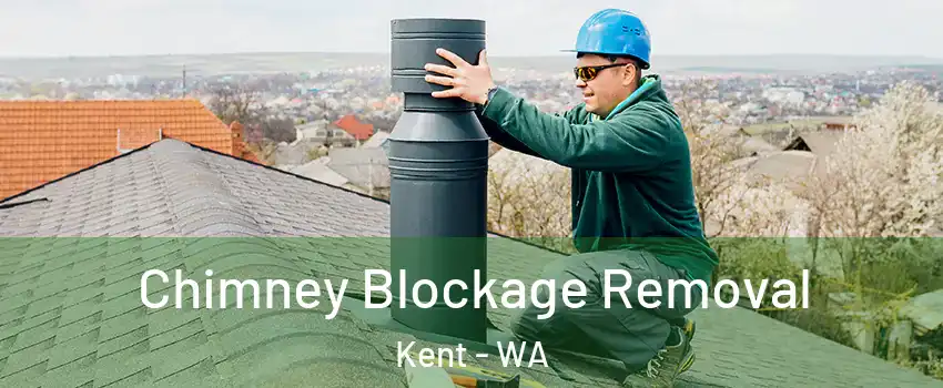  Chimney Blockage Removal Kent - WA