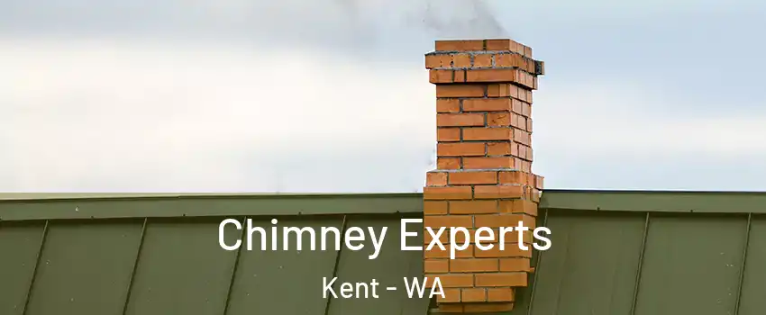  Chimney Experts Kent - WA