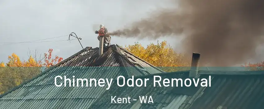  Chimney Odor Removal Kent - WA