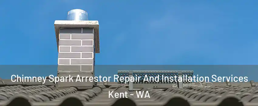  Chimney Spark Arrestor Repair And Installation Services Kent - WA
