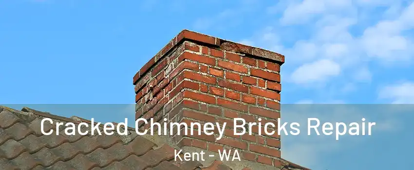  Cracked Chimney Bricks Repair Kent - WA