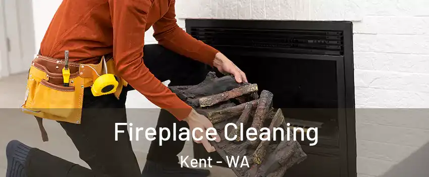  Fireplace Cleaning Kent - WA