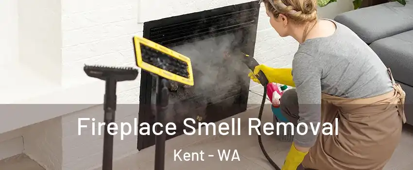  Fireplace Smell Removal Kent - WA