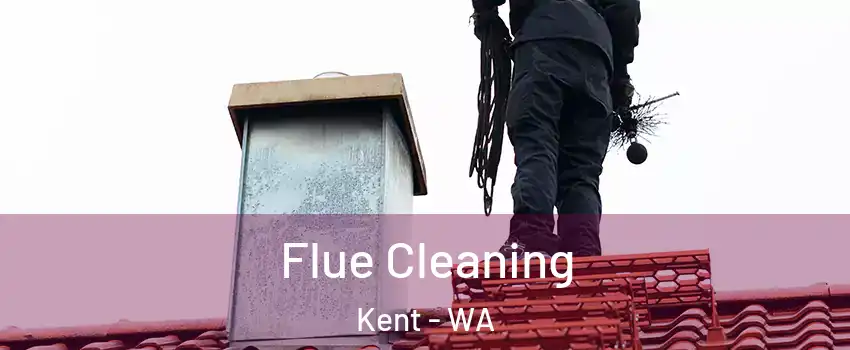  Flue Cleaning Kent - WA