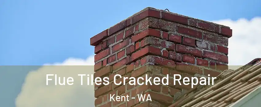  Flue Tiles Cracked Repair Kent - WA