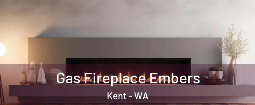  Gas Fireplace Embers Kent - WA