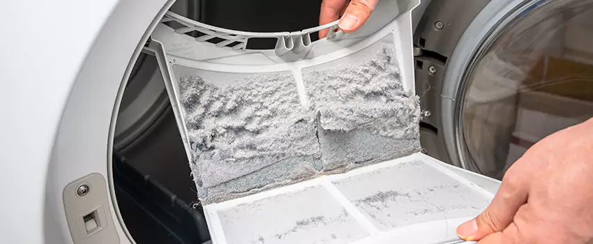 Best Dryer Lint Removal Company in Kent, Washington