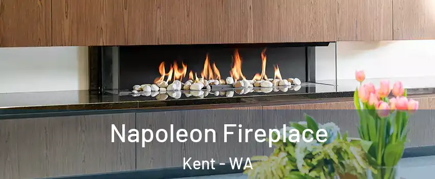  Napoleon Fireplace Kent - WA